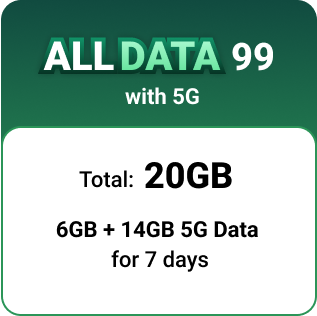 ALL DATA 99 w/ 5G DATA